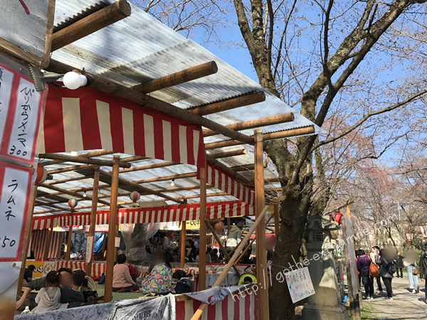 平野神社　桜茶屋