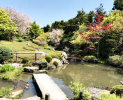 妙心寺　退蔵院