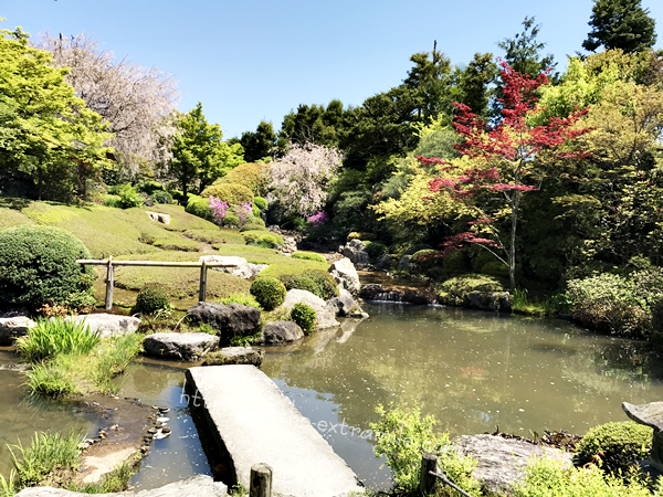妙心寺　退蔵院