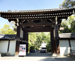 泉涌寺　大門