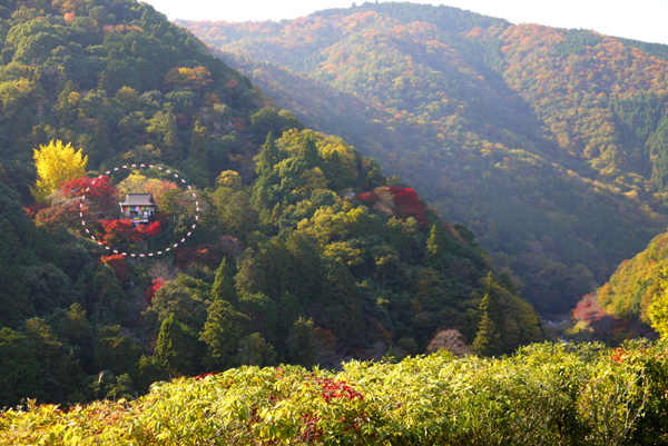 大悲閣千光寺