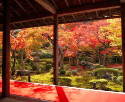 圓光寺