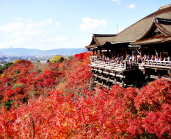 清水寺　紅葉
