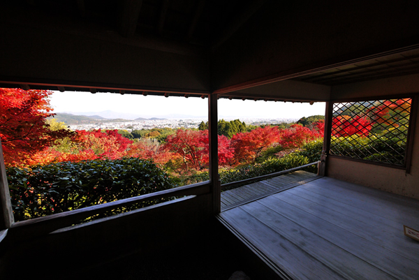 大河内山荘庭園　紅葉