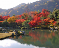 天龍寺　紅葉