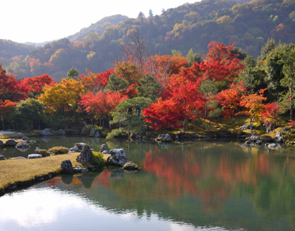 天龍寺　紅葉