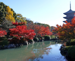 東寺