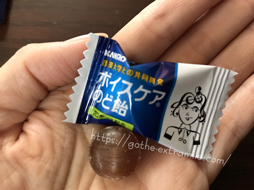 ボイスケアのど飴　個包装