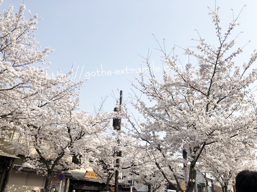 嵐電　嵐山駅前通り　桜まつり