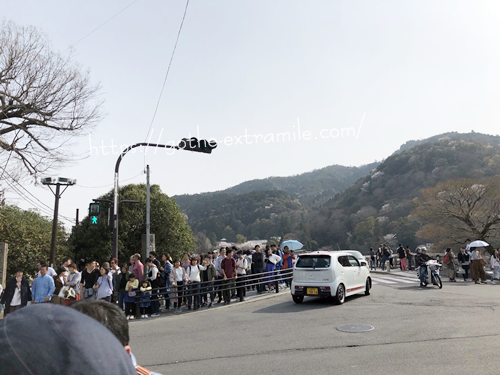 嵐山　渡月橋　桜　混雑